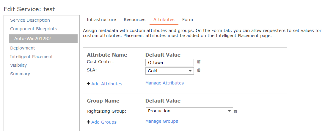 Setting the Rightsizing Group in the Service Catalog Blueprint